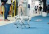 Chińskie roboty w Polsce. Po Edwardzie czas na przemysł Chiński robot Unitree prezentowany podczas Warsaw Industry Automatica 2026 w Polsce