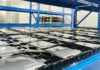 Chiny przyspieszają prace nad bateriami stałostanowymi Ogniwa baterii Talent New Energy w zakładzie produkcyjnym w Chinach